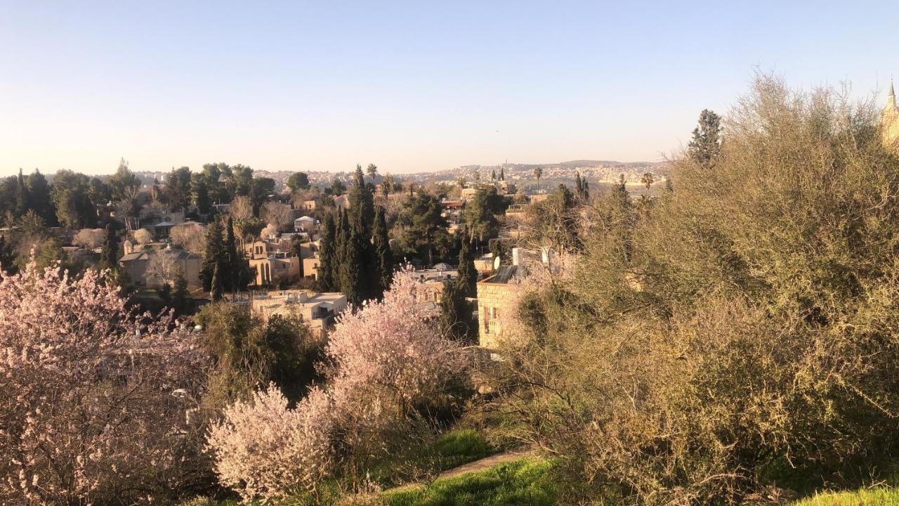 エルサレム Sweet 'En Kerem View Bed & Breakfast エクステリア 写真